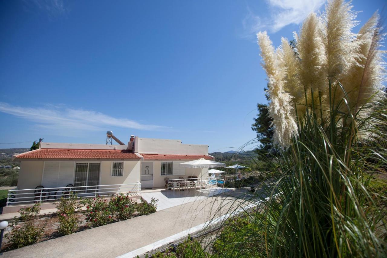 The Olive Grove Private Pool With Star Links Wifi Villa *