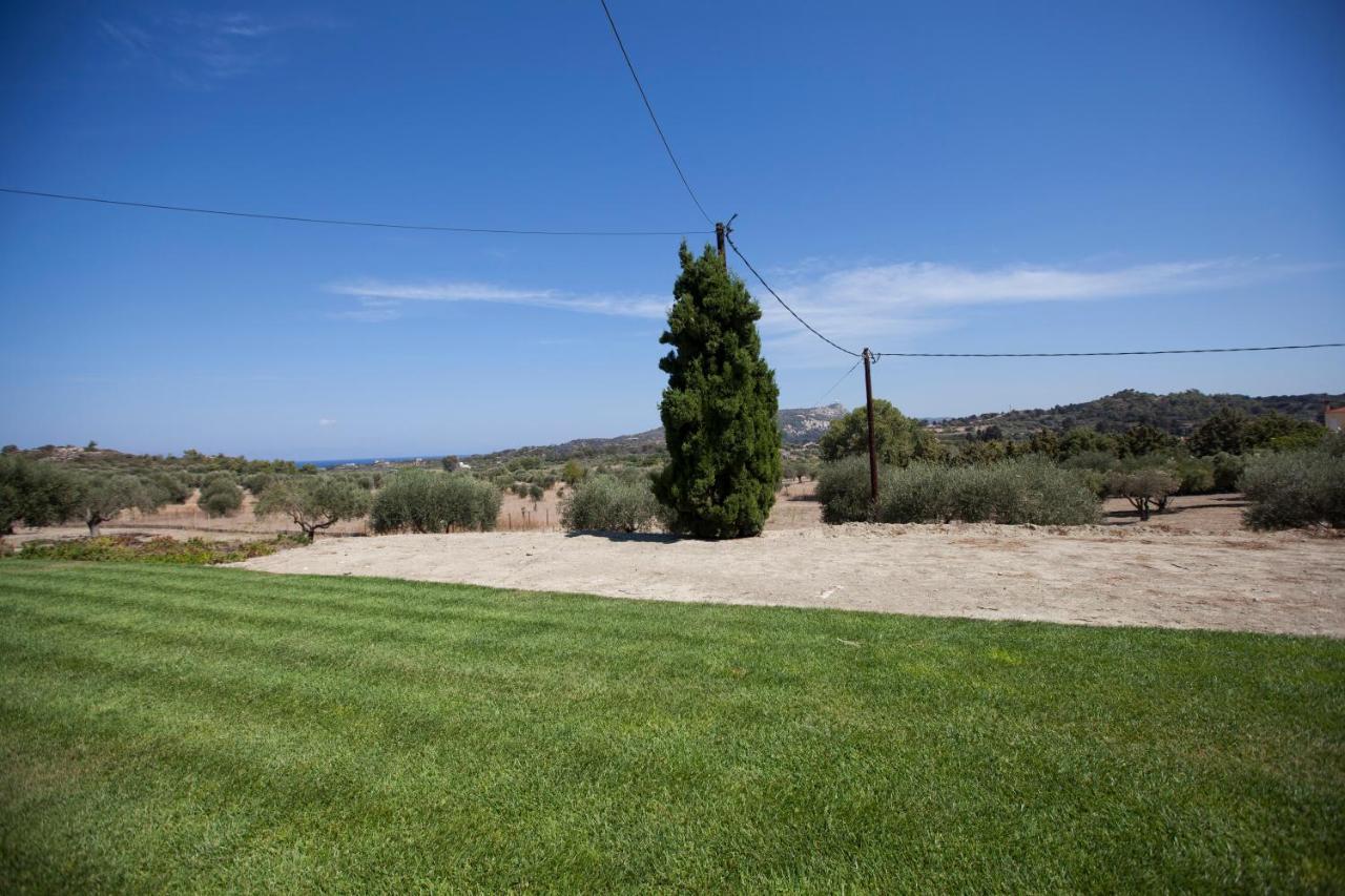 The Olive Grove Private Pool With Star Links Wifi Villa